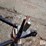2011-big-tex-35sa-image-11