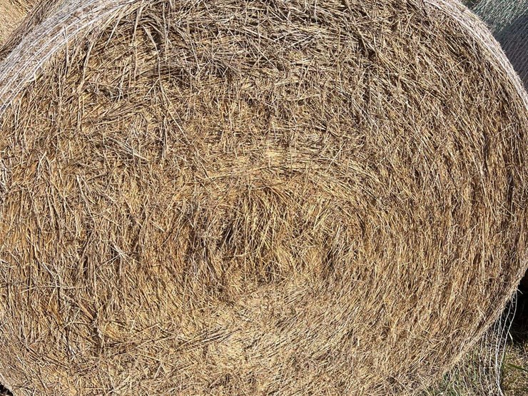(50)-4'-x-5'-edge-wrapped-round-bales-of-hay-*offsite-image-3