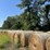 (50)-4'-x-5'-edge-wrapped-round-bales-of-hay-*offsite-image-18