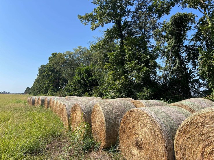 (50)-4'-x-5'-edge-wrapped-round-bales-of-hay-*offsite-image-18