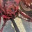international-806-tractor-image-16
