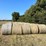 (50)-4'-x-5'-edge-wrapped-round-bales-of-hay-*offsite-image-2