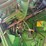 john-deere-9600-image-10