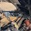 2022-polaris-ranger-image-20