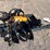 #2046-•-skid-steer-auger-drive-and-bit-image-8