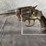 #5138-•-unknown-unknown,-revolver,-sn:-55792,-(neenah,-wi)-image-6
