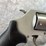 #5132-•-smith-&-wesson-.38-spl,-revolver,-sn:-cwm9026-(neenah,-wi)-image-7