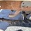 #509-•-2001-chevy-silverado-2500hd-4x4-(nm-title-in-delay)-image-14