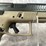 #5135-•-glock-cz-p10-s,-9mm-luger-pistol,-sn:-e048759-(neenah,-wi)-image-14