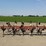 ag-engineering-dammer-diker-image-1