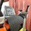 #2010-•-mini-excavator-image-17
