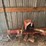 kuhn-fa-372-sickle-mower,-3pt.,-6’-bar,-540pto,-sn:-w0387-image-1
