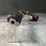 #5178-•-smith-&-wesson,-357-mag-revolver,-sn:-m686-1,-(neenah,-wi)-image-5