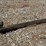 2-5/16-in-receiver-trailer-hitch-ball-mount-image-1