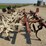 ag-engineering-dammer-diker-image-7