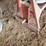 electric-drive-cement-mixer,-solid-wheels,-1hp-motor-image-9