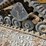 caterpillar-247b-image-48