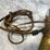 #5179-•-lyman,-44-cal-revolver,-sn:-50216,-(neenah,-wi)-image-30