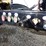 axle-dump-trailer-image-7