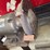 cummins-mack-3/4-hp-electric-bench-grinder-on-stand-image-5