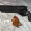 #5181-•-ruger-super-black-hawk,-44-rem-mag-revolver,-sn:-86-66365,-(neenah,-wi)-image-24