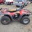 arctic-cat-300-image-3