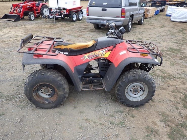 arctic-cat-300-image-3