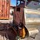 #1503-•-forsberg-h-6-destoner-(offsite-in-las-cruces)-image-5