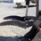 2017-takeuchi-tb290-image-10