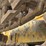 deere-350b-image-33