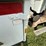 #17-•-2008-sterling-9500-tandem-axle-conventional-fuel-&-lube-truck-image-31