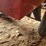 load-hog-towable-lawn-cart,-custom-extended-hitch-image-9