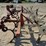 ag-engineering-dammer-diker-image-14
