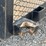 utility-trailer-image-9