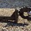 2-5/16-in-pintle-&-ball-hitch-image-2