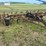 glencoe-field-cultivator-image-2