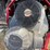 ferris-is1500z-image-4