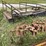 #1294-•-tracks-and-truck-rack-frame-image-3