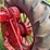 farmall-f-20-image-38