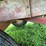 fert-wagon-image-9
