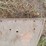 allis-chalmers-fenders-image-9