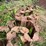 #1294-•-tracks-and-truck-rack-frame-image-14