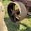 farmall-f-20-image-26
