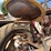 farmall-m-image-34