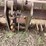 #1298-•-gannon-box-scraper-attachment-image-14