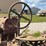 farmall-f-20-image-32