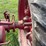 farmall-f-14-image-40