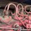 farmall-560-image-48