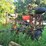 mckee-25'-danish-tine-field-cultivator-image-3
