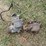 carburetor-and-hydraulic-pump-image-3